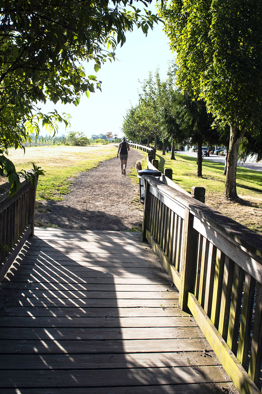 walking trail